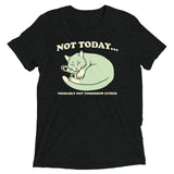 Not Today Probably Not Tomorrow Either Men's Tri-Blend Tee