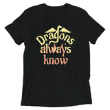 Dragons Always Know Men's Tri-Blend Tee