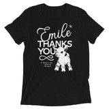 Emile Thanks You Men's Tri-Blend Tee