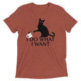 I Do What I Want Men's Tri-Blend Tee