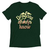 Dragons Always Know Men's Tri-Blend Tee