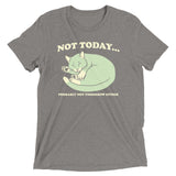Not Today Probably Not Tomorrow Either Men's Tri-Blend Tee