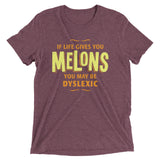 If Life Gives You Melons Men's Tri-Blend Tee