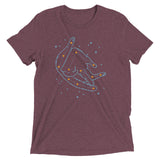 Catstellation Men's Tri-Blend Tee
