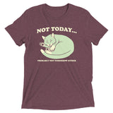 Not Today Probably Not Tomorrow Either Men's Tri-Blend Tee