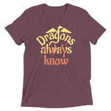 Dragons Always Know Men's Tri-Blend Tee
