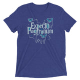 Expecto Pugtronum Men's Tri-Blend Tee