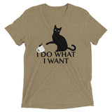 I Do What I Want Men's Tri-Blend Tee