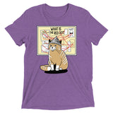 What Is The Red Dot? Men's Tri-Blend Tee