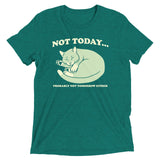 Not Today Probably Not Tomorrow Either Men's Tri-Blend Tee