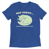 Not Today Probably Not Tomorrow Either Men's Tri-Blend Tee