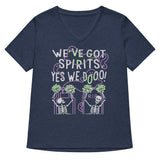 We've Got Spirits Women's V-Neck Tee