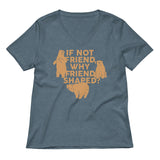 If Not Friend, Why Friend Shaped? Women's V-Neck Tee