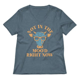 Not In The Moo'd Right Now Women's V-Neck Tee
