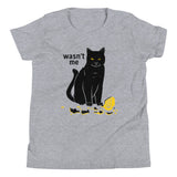Wasn't Me Kid's Youth Tee