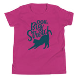 Big Stretch Kid's Youth Tee