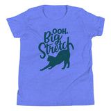 Big Stretch Kid's Youth Tee
