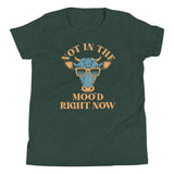 Not In The Moo'd Right Now Kid's Youth Tee