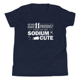 Do You Have 11 Protons? Kid's Youth Tee