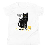 Wasn't Me Kid's Youth Tee